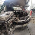 480658426_1007290241456955_6141144197038763913_n