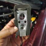 481334421_1018216497030996_3986137981282250078_n